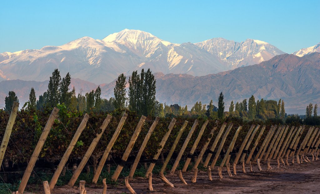 La Ruta del Vino en Mendoza